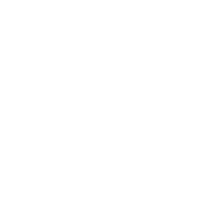 Nails and feet icon